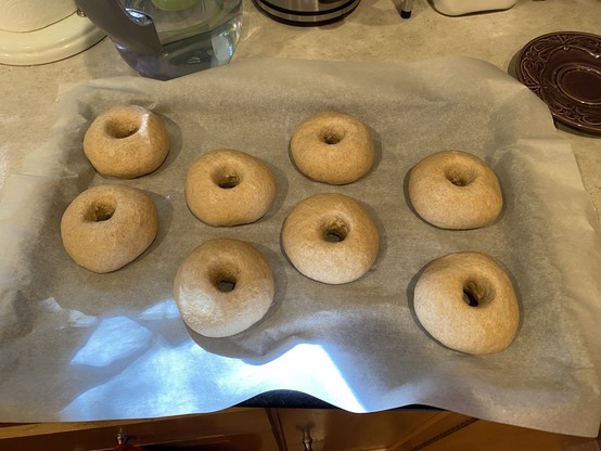 eight bagels ready for boiling eight bagels ready for boiling