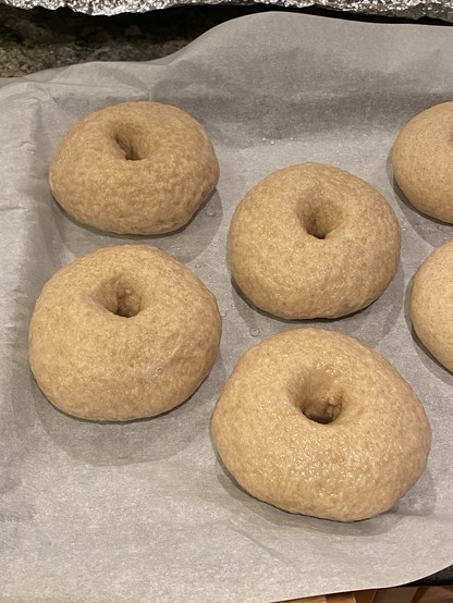 four very smooth bagels in parchment paper four very smooth bagels in parchment paper