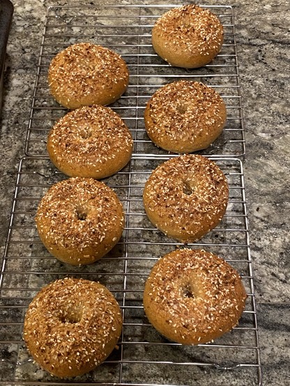 eight bagels on a cooling rack, most two thirds of everything, one half of everything, lacking salt. eight bagels on a cooling rack, most two thirds of everything, one half of everything, lacking salt.