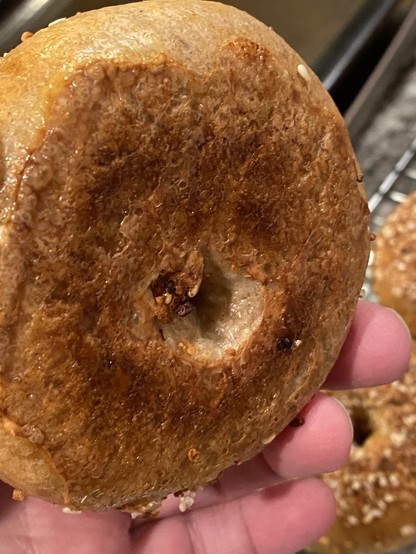 the underside of a bagel, very brown and a little flat from being on the baking tray the underside of a bagel, very brown and a little flat from being on the baking tray