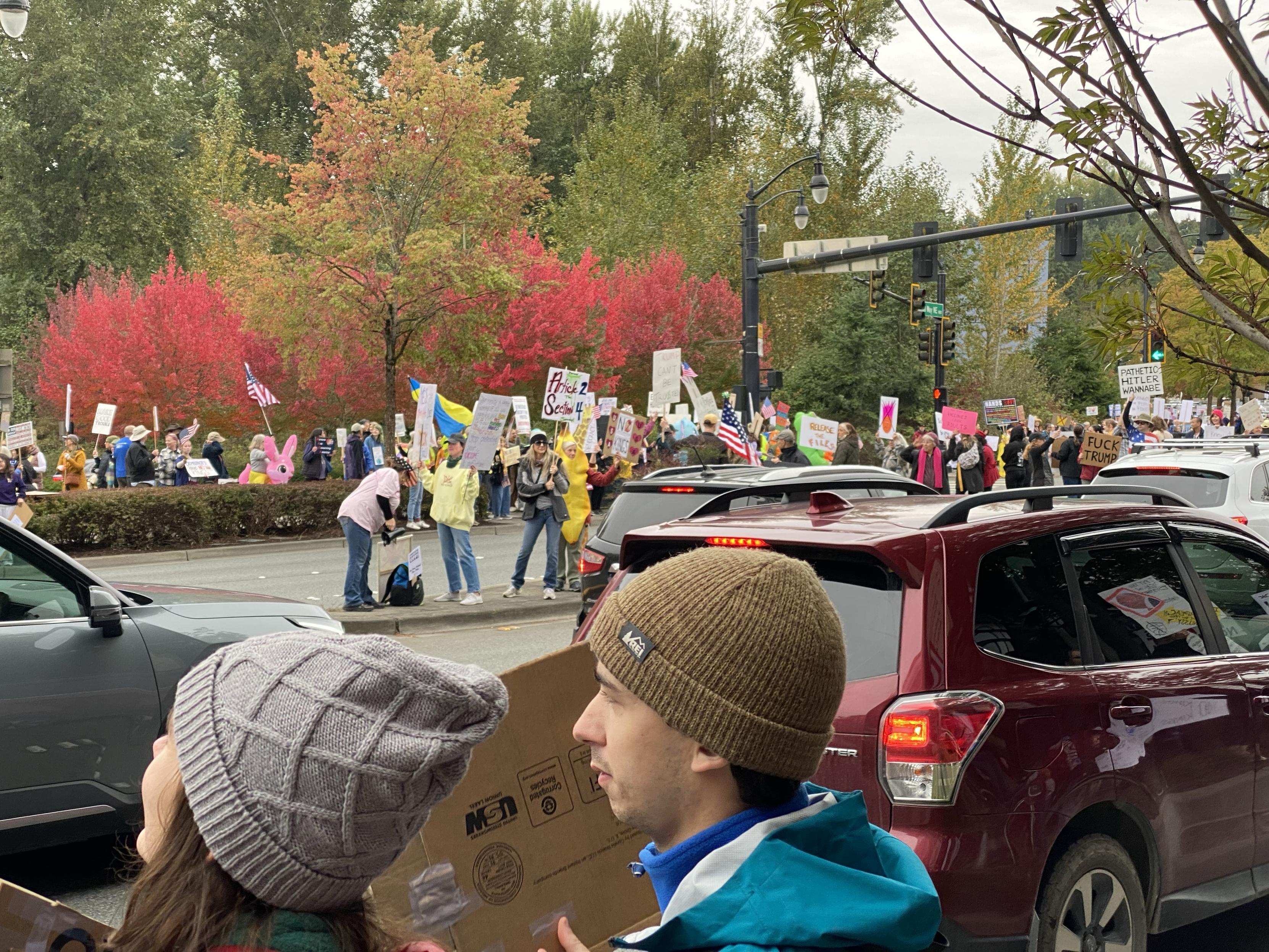 seen beyond near side protesters, a traffic island filled with protesters, with more on the far side of the road