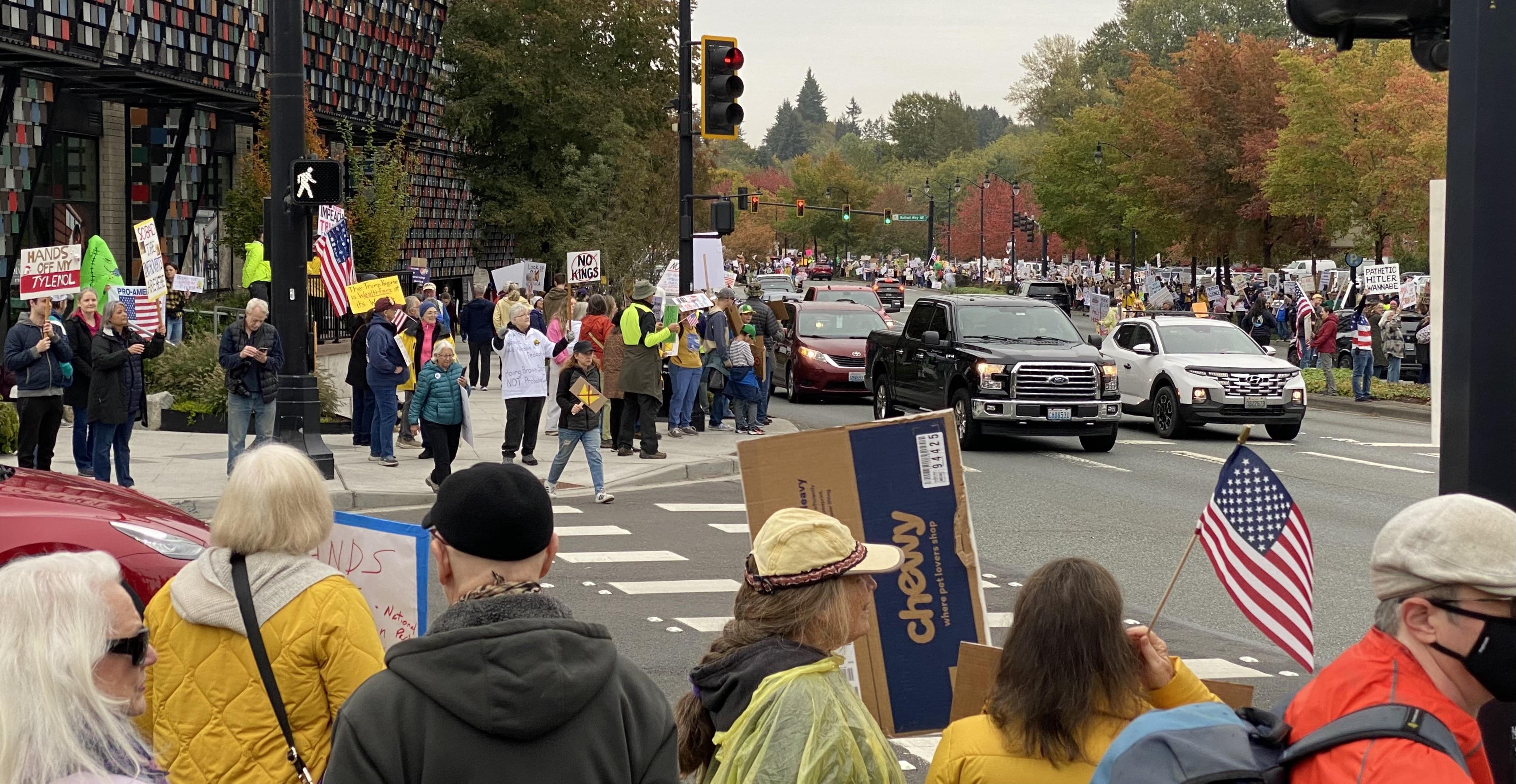 about half the protest in bothell seen from a couple of blocks east of the west end of the crowd. crowds are behind and in front of the viewer