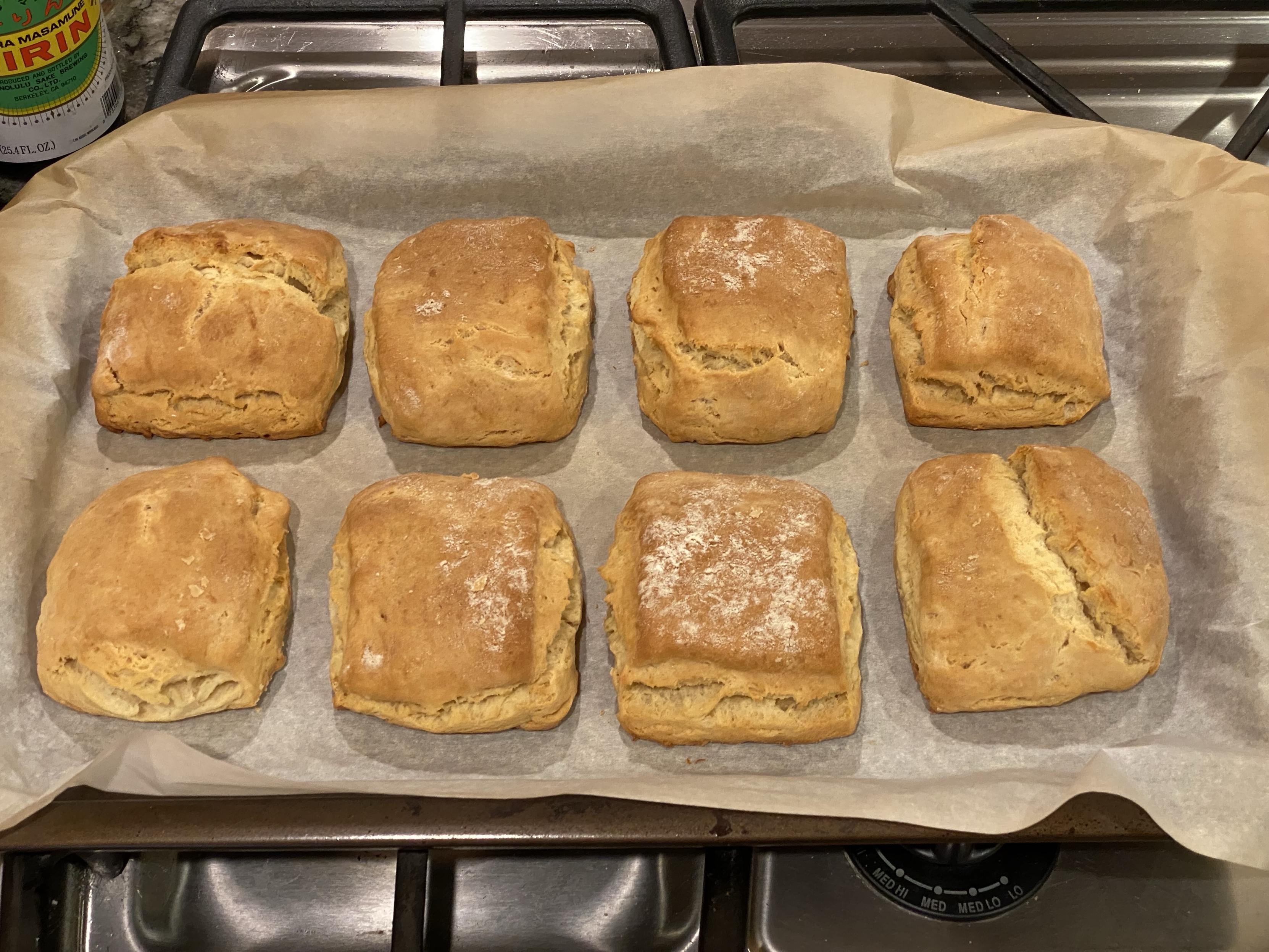eight square biscuits baked and out of the oven, squareness retained and golden brown in two rows of four